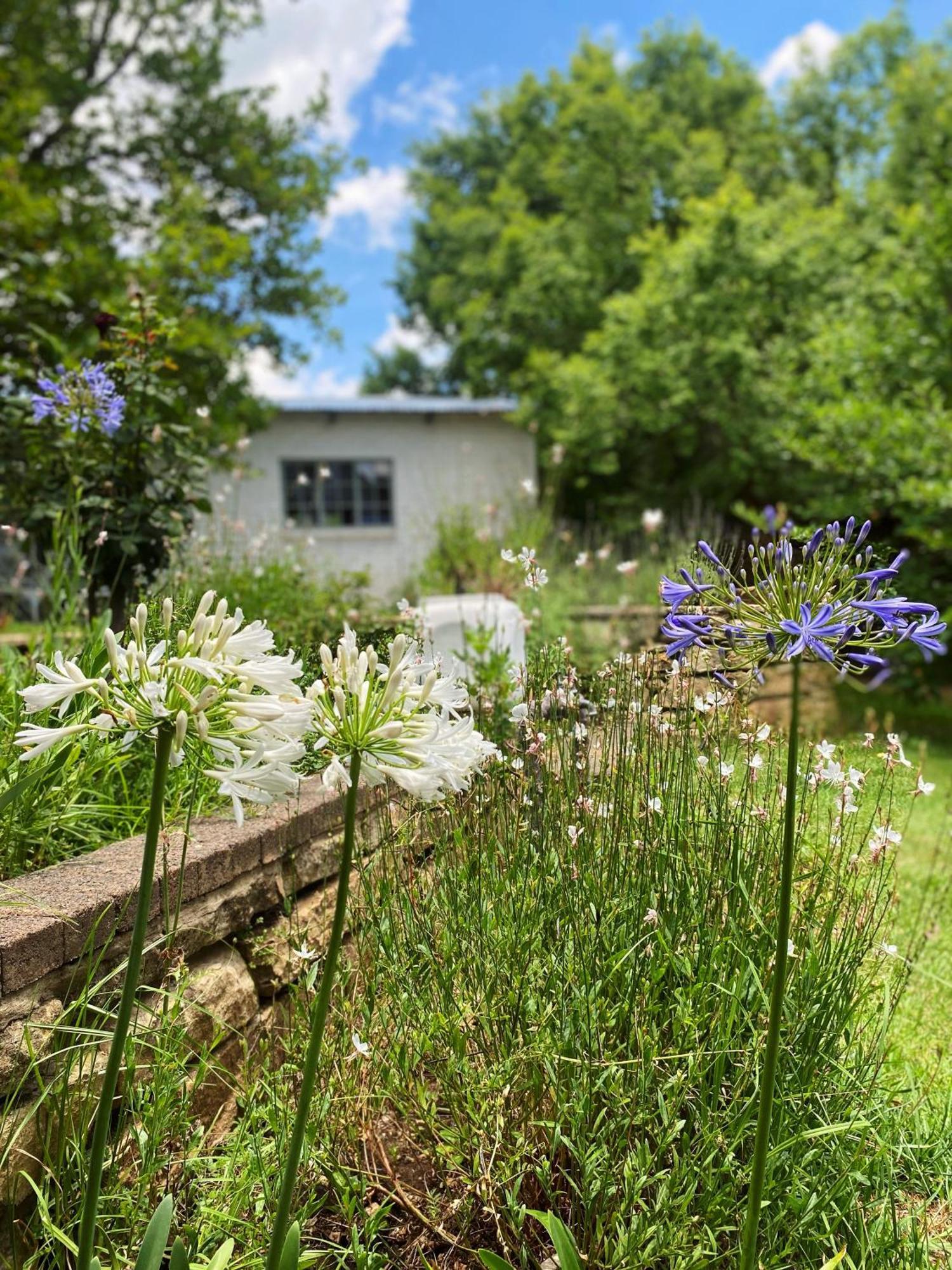 Collett House And Lavender Cottage Clarens Kültér fotó