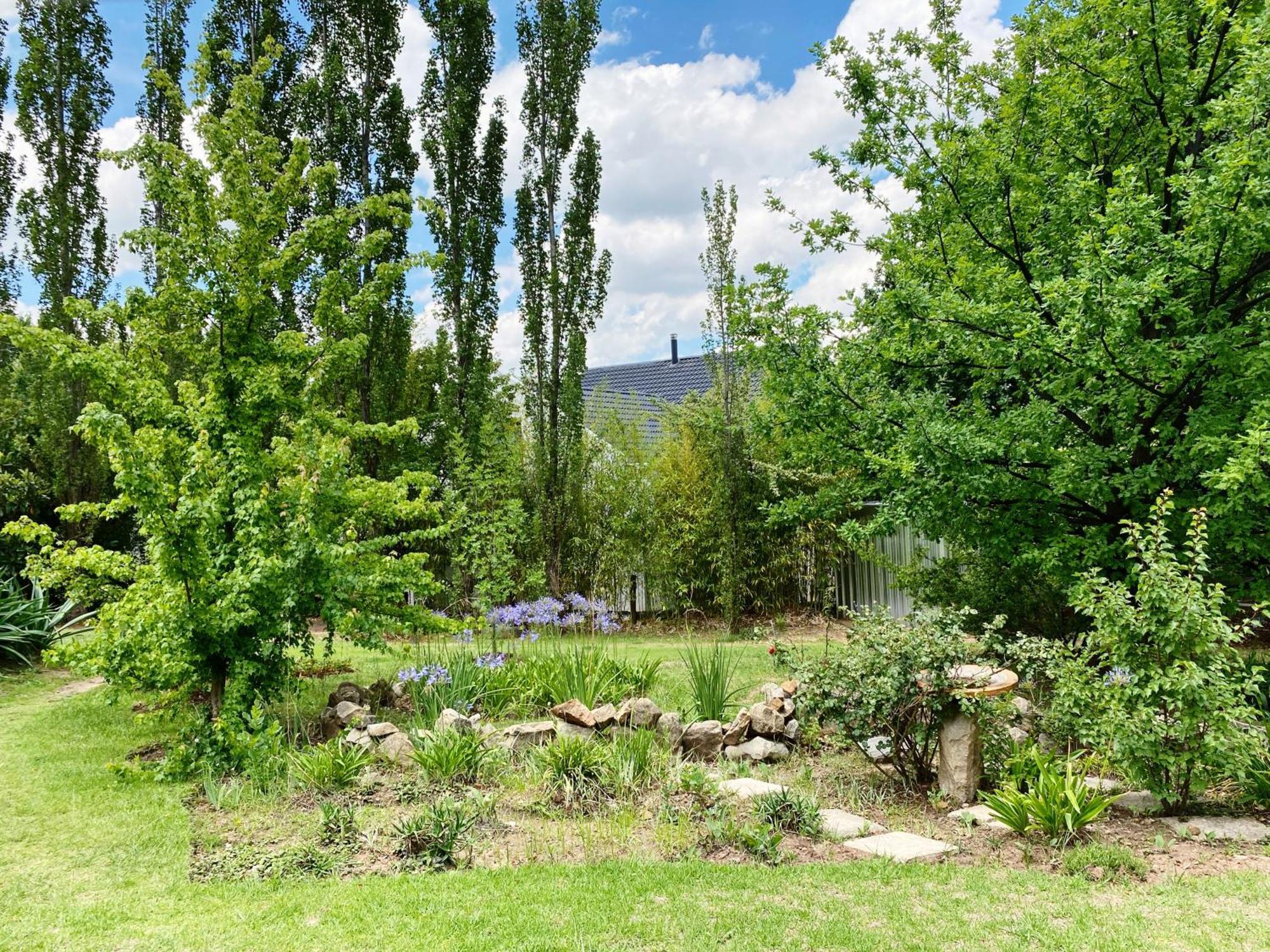 Collett House And Lavender Cottage Clarens Kültér fotó