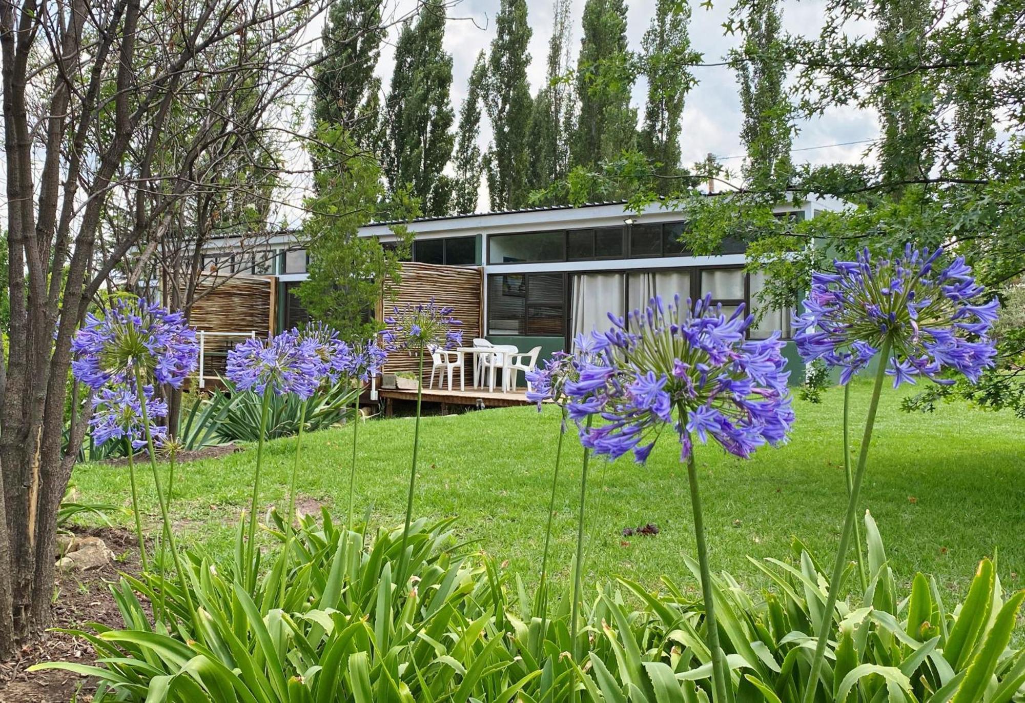 Collett House And Lavender Cottage Clarens Kültér fotó
